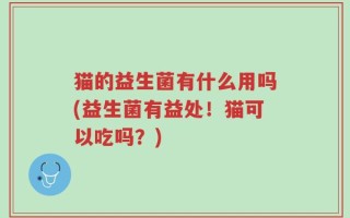 猫的益生菌有什么用吗(益生菌有益处！猫可以吃吗？)