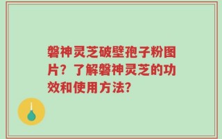 磐神灵芝破壁孢子粉图片？了解磐神灵芝的功效和使用方法？