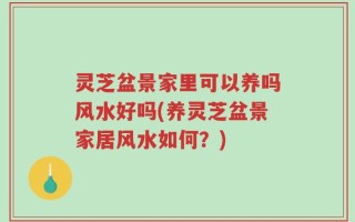 灵芝盆景家里可以养吗风水好吗(养灵芝盆景家居风水如何？)