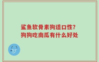 鲨鱼软骨素狗适口性？狗狗吃南瓜有什么好处