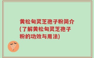 黄松甸灵芝孢子粉简介(了解黄松甸灵芝孢子粉的功效与用法)