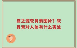 高之源软骨素图片？软骨素对人体有什么害处