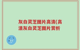 灰白灵芝图片高清(高清灰白灵芝图片赏析