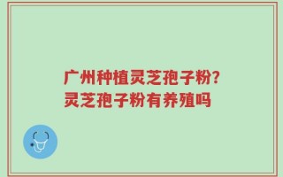 广州种植灵芝孢子粉？灵芝孢子粉有养殖吗