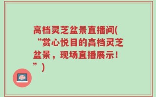 高档灵芝盆景直播间(“赏心悦目的高档灵芝盆景，现场直播展示！”)