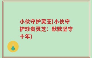 小伙守护灵芝(小伙守护珍贵灵芝：默默坚守十年)
