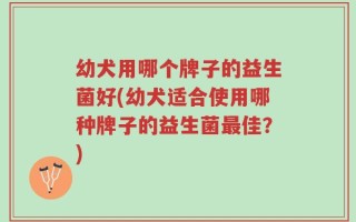 幼犬用哪个牌子的益生菌好(幼犬适合使用哪种牌子的益生菌最佳？)