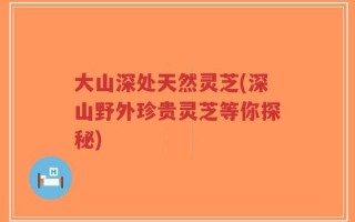 大山深处天然灵芝(深山野外珍贵灵芝等你探秘)