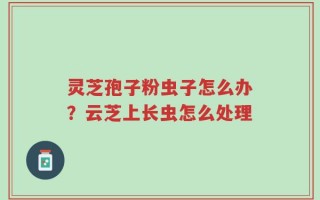 灵芝孢子粉虫子怎么办？云芝上长虫怎么处理