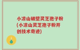 小凉山破壁灵芝孢子粉(小凉山灵芝孢子粉开创技术奇迹)