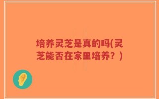 培养灵芝是真的吗(灵芝能否在家里培养？)