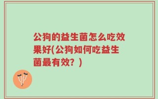 公狗的益生菌怎么吃效果好(公狗如何吃益生菌最有效？)