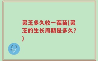 灵芝多久收一茬苗(灵芝的生长周期是多久？)