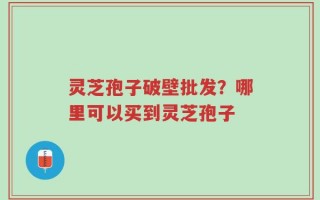 灵芝孢子破壁批发？哪里可以买到灵芝孢子