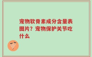 宠物软骨素成分含量表图片？宠物保护关节吃什么