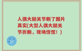 人偶大腿关节断了图片真实(大型人偶大腿关节折断，现场惊慌！)