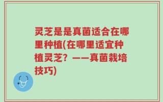 灵芝是是真菌适合在哪里种植(在哪里适宜种植灵芝？——真菌栽培技巧)