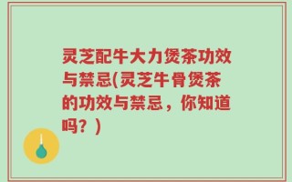 灵芝配牛大力煲茶功效与禁忌(灵芝牛骨煲茶的功效与禁忌，你知道吗？)