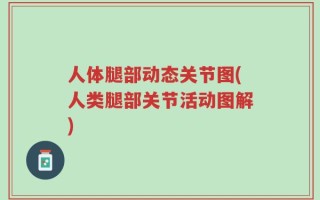 人体腿部动态关节图(人类腿部关节活动图解)