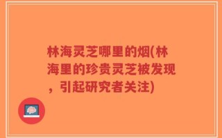 林海灵芝哪里的烟(林海里的珍贵灵芝被发现，引起研究者关注)