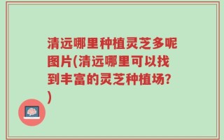 清远哪里种植灵芝多呢图片(清远哪里可以找到丰富的灵芝种植场？)