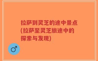 拉萨到灵芝的途中景点(拉萨至灵芝旅途中的探索与发现)