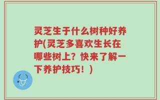 灵芝生于什么树种好养护(灵芝多喜欢生长在哪些树上？快来了解一下养护技巧！)