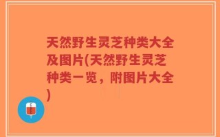 天然野生灵芝种类大全及图片(天然野生灵芝种类一览，附图片大全)