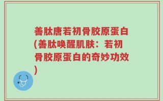 善肽唐若初骨胶原蛋白(善肽唤醒肌肤：若初骨胶原蛋白的奇妙功效)