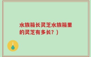 水族箱长灵芝水族箱里的灵芝有多长？)