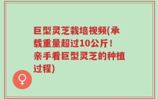 巨型灵芝栽培视频(承载重量超过10公斤！亲手看巨型灵芝的种植过程)
