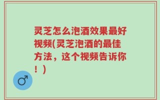 灵芝怎么泡酒效果最好视频(灵芝泡酒的最佳方法，这个视频告诉你！)