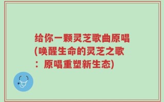 给你一颗灵芝歌曲原唱(唤醒生命的灵芝之歌：原唱重塑新生态)