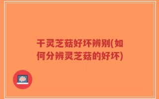 干灵芝菇好坏辨别(如何分辨灵芝菇的好坏)