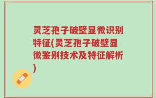灵芝孢子破壁显微识别特征(灵芝孢子破壁显微鉴别技术及特征解析)