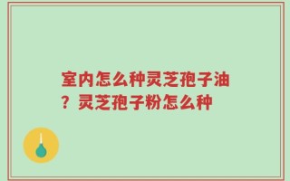 室内怎么种灵芝孢子油？灵芝孢子粉怎么种