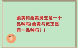 桑黄和桑黄灵芝是一个品种吗(桑黄与灵芝是同一品种吗？)