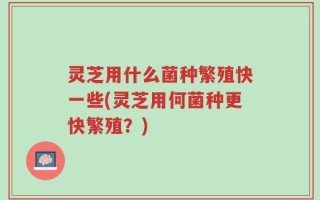 灵芝用什么菌种繁殖快一些(灵芝用何菌种更快繁殖？)