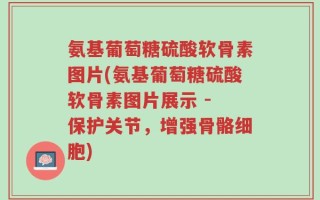 氨基葡萄糖硫酸软骨素图片(氨基葡萄糖硫酸软骨素图片展示 - 保护关节，增强骨骼细胞)