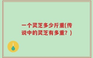 一个灵芝多少斤重(传说中的灵芝有多重？)
