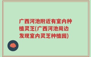 广西河池附近有室内种植灵芝(广西河池周边发现室内灵芝种植园)