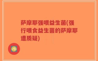 萨摩耶强喂益生菌(强行喂食益生菌的萨摩耶遭质疑)
