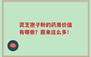 灵芝孢子粉的药用价值有哪些？原来这么多！