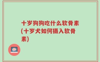 十岁狗狗吃什么软骨素(十岁犬如何摄入软骨素)