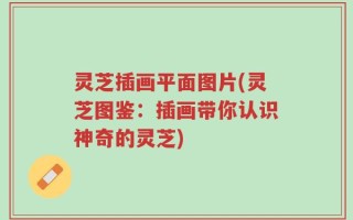 灵芝插画平面图片(灵芝图鉴：插画带你认识神奇的灵芝)