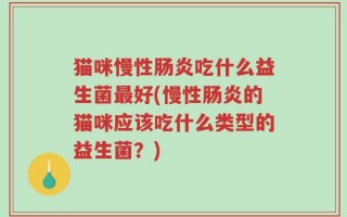 猫咪慢性肠炎吃什么益生菌最好(慢性肠炎的猫咪应该吃什么类型的益生菌？)