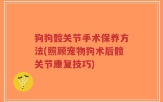 狗狗髋关节手术保养方法(照顾宠物狗术后髋关节康复技巧)