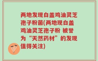 两地发现白盖鸡油灵芝孢子粉菌(两地现白盖鸡油灵芝孢子粉 被誉为“天然药材”的发现值得关注)