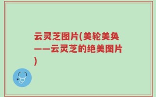 云灵芝图片(美轮美奂——云灵芝的绝美图片)
