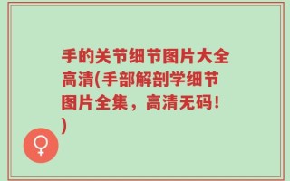 手的关节细节图片大全高清(手部解剖学细节图片全集，高清无码！)